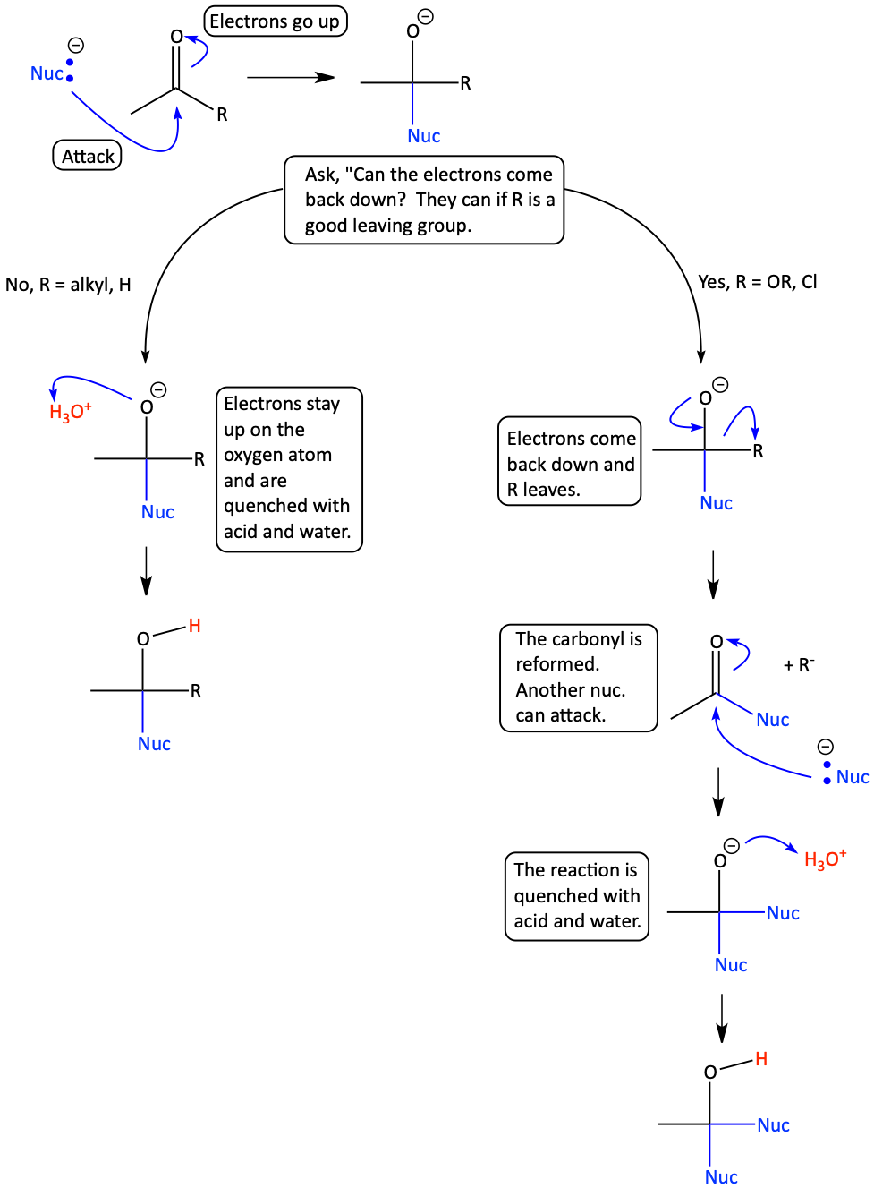 Overview of Grignard reagents attacking carbonyl compounds